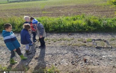 vycházka k lesu - IMG 20211029 WA0005 380x240