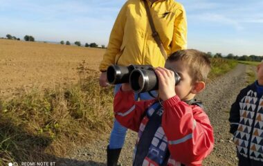 vycházka k lesu - IMG 20211029 WA0006 380x240