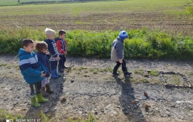 vycházka k lesu - IMG 20211029 WA0008 380x240