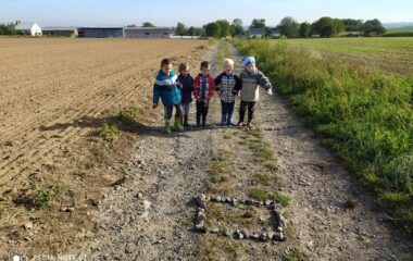 vycházka k lesu - IMG 20211029 WA0011 380x240