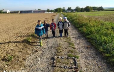 vycházka k lesu - IMG 20211029 WA0012 380x240