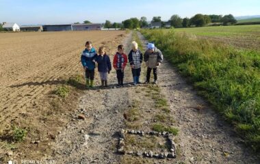 vycházka k lesu - IMG 20211029 WA0013 380x240