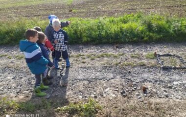 vycházka k lesu - IMG 20211029 WA0015 380x240