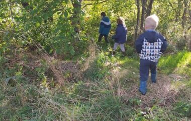 vycházka k lesu - IMG 20211029 WA0024 380x240