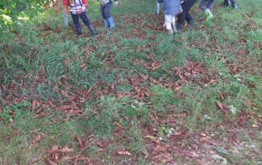 vycházka k lesu - IMG 20211029 WA0025 380x240