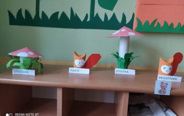 vycházka k lesu - IMG 20211029 WA0035 380x240