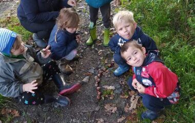 vycházka k lesu - IMG 20211029 WA0043 380x240