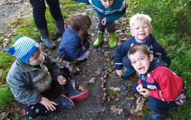 vycházka k lesu - IMG 20211029 WA0045 380x240