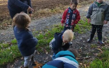 vycházka k lesu - IMG 20211029 WA0048 380x240