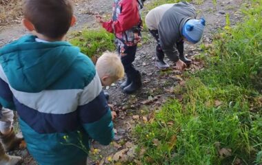 vycházka k lesu - IMG 20211029 WA0049 380x240