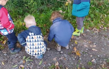vycházka k lesu - IMG 20211029 WA0052 380x240