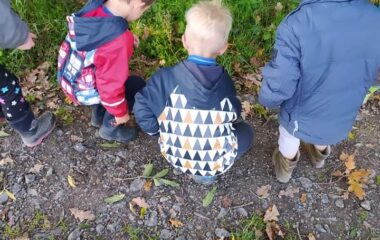 vycházka k lesu - IMG 20211029 WA0053 380x240