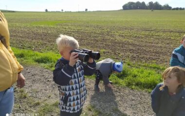 vycházka k lesu - IMG 20211029 WA0055 380x240