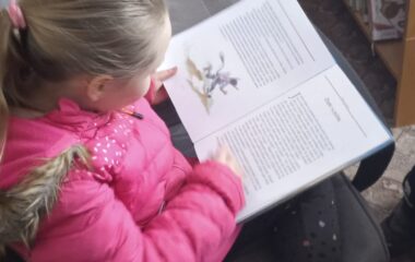z pohádky do pohádky - IMG 20230317 WA0160 380x240