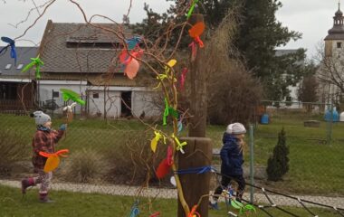 už přichází ....jaro :-) - IMG 20230406 WA0078 380x240