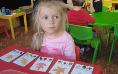 podtéma: listy kolem nás - 6703798f 537c 4dc5 a340 3b069179928c 380x240