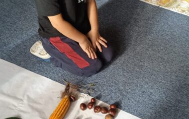 podtéma: listy kolem nás - 88e17874 6552 475e b326 0b039e15e47c 380x240