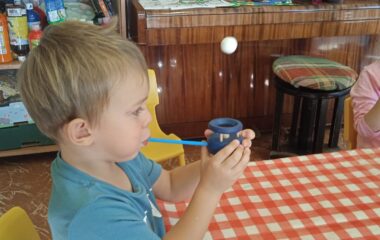 podtéma: listy kolem nás - 89da8c54 bcdf 4217 9666 798860b5ba0a 380x240