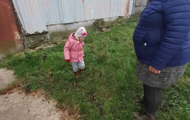 podtéma: Podzim - co se děje v lese - 47c4f164 a4d8 42ae 8e4a e542dbe76df7 380x240