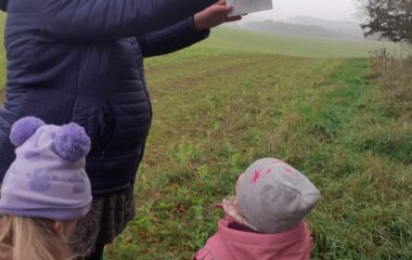 podtéma: Podzim - co se děje v lese - 77a0c35c 5f09 479b bcfd 1799de8fb383 380x240