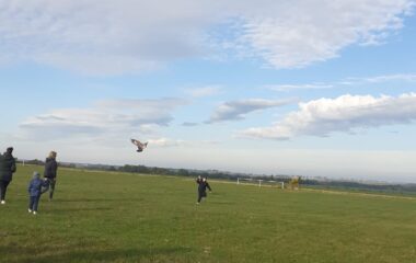 drakiáda - 05da5d9a 946a 4bf9 a3a1 1e14cb495c3d 380x240