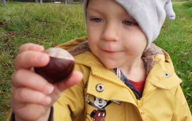 podtéma: skřítek Podzimníček - 118a02da 3100 4fd8 8e8e 8a9d3c4f92f5 380x240