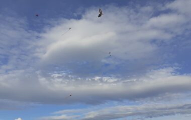 drakiáda - 25aba8a9 5158 4861 a3cb 94c7c563b4a0 380x240