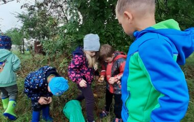 podtéma: skřítek Podzimníček - 4ab6a21f 8939 4584 968f 40848e59e184 380x240