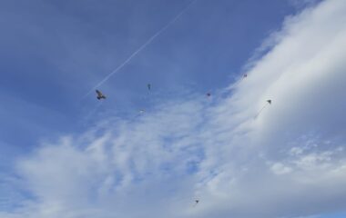 drakiáda - b74ed9e3 d861 46cf a3f2 accbaf7ce61e 380x240