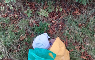 podtéma: skřítek Podzimníček - c1a6da5b c361 4d33 b270 8f00b1a0295b 380x240