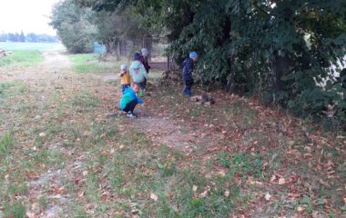 podtéma: skřítek Podzimníček - e3ca47d1 3d5e 4bd0 b87b cfef2b940e6b 380x240