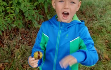 podtéma: skřítek Podzimníček - e4d8d7ed 1627 4745 bc8a e19ec13749bf 380x240