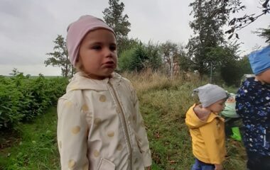 podtéma: skřítek Podzimníček - f6019da4 425e 46d1 ae9d f95c163c844a 380x240