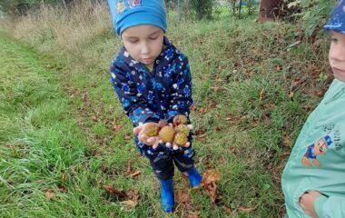podtéma: skřítek Podzimníček - fb5c7a78 d9d7 467f 9188 ccf14df6b883 380x240
