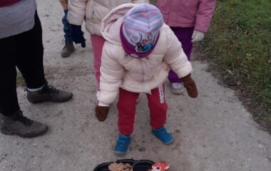 Podzimní stezka - 0c52724a c094 4635 992f e6e0de2cbaf2 380x240