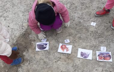 Podzimní stezka - 19a655e9 0d3a 44f8 a424 65aab566cd20 380x240