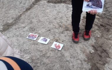 Podzimní stezka - 81661383 3530 4bcc a2b1 8e4af2e2e010 380x240