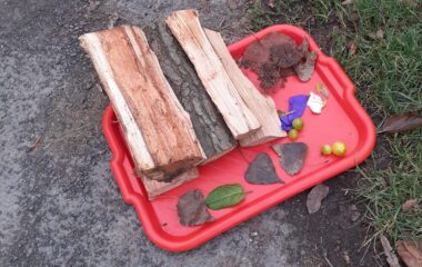 Podzimní stezka - b369db6c 42c3 4f3f b22c 488abdc91468 380x240