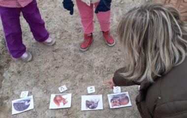 Podzimní stezka - cf9db0a7 57c5 4be2 9e80 86535cd79e74 380x240