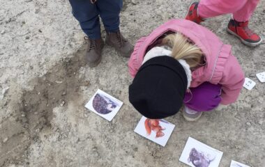 Podzimní stezka - e7e133b4 c728 4d7e b1c9 683931ad58eb 380x240