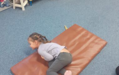 podt&eacute;ma: pt&aacute;čci v zimě - 5d8a12ec fa1e 4e18 b520 68081b696c0a 380x240