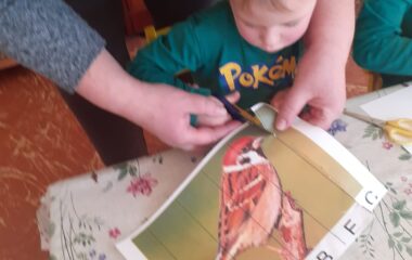 podt&eacute;ma: pt&aacute;čci v zimě - 91c2eeee ae28 4e12 baaf 97d0d22ed0a9 380x240