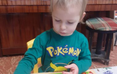 podt&eacute;ma: pt&aacute;čci v zimě - ae940c2d 485d 4c49 822d 3ca84dc7e429 380x240