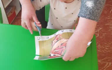 podt&eacute;ma: pt&aacute;čci v zimě - c5833e22 b39f 4008 9653 ddfc42916f26 380x240