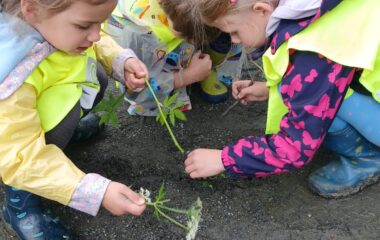 co jsme v červnu zažili - 5027986d 7d5b 4f0d af25 7a5ee73f3b8f 380x240