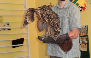výr Bárny a liška Mia - sova Bubo 023 380x240