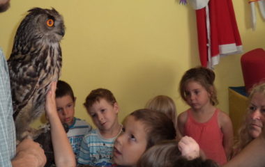 výr Bárny a liška Mia - sova Bubo 046 380x240