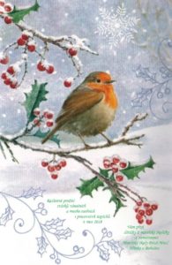 V&aacute;nočn&iacute; př&aacute;ni