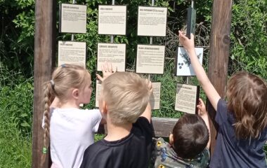 byli jsme se projít sadařovou stezkou - IMG 20230529 103505 380x240
