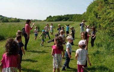 byli jsme se projít sadařovou stezkou - IMG 20230529 103703 380x240